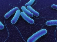 E.coli blue_4
