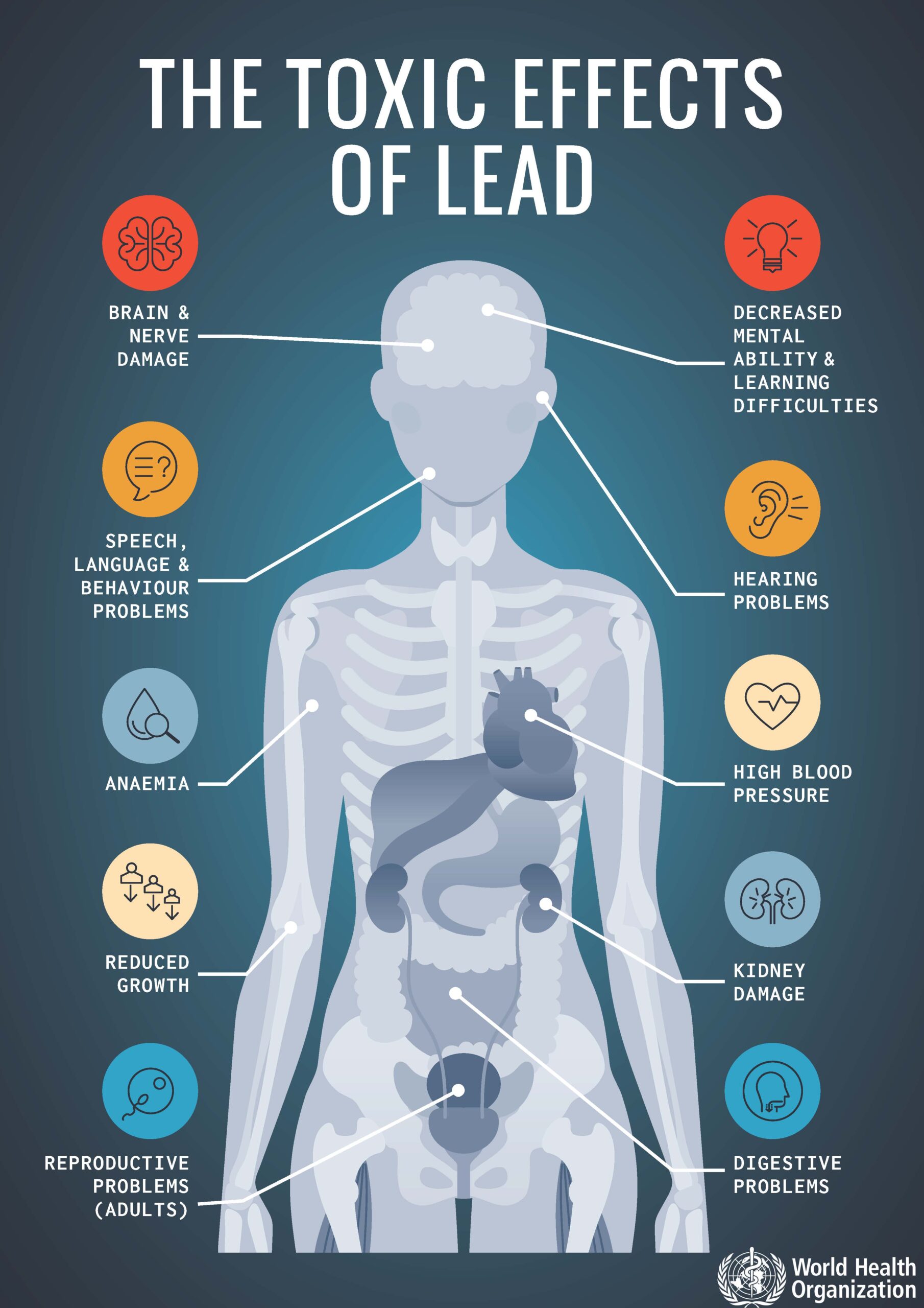 Toxic-effects-lead-WHO-logo