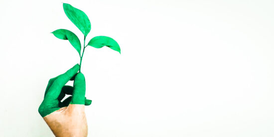 green bleaching