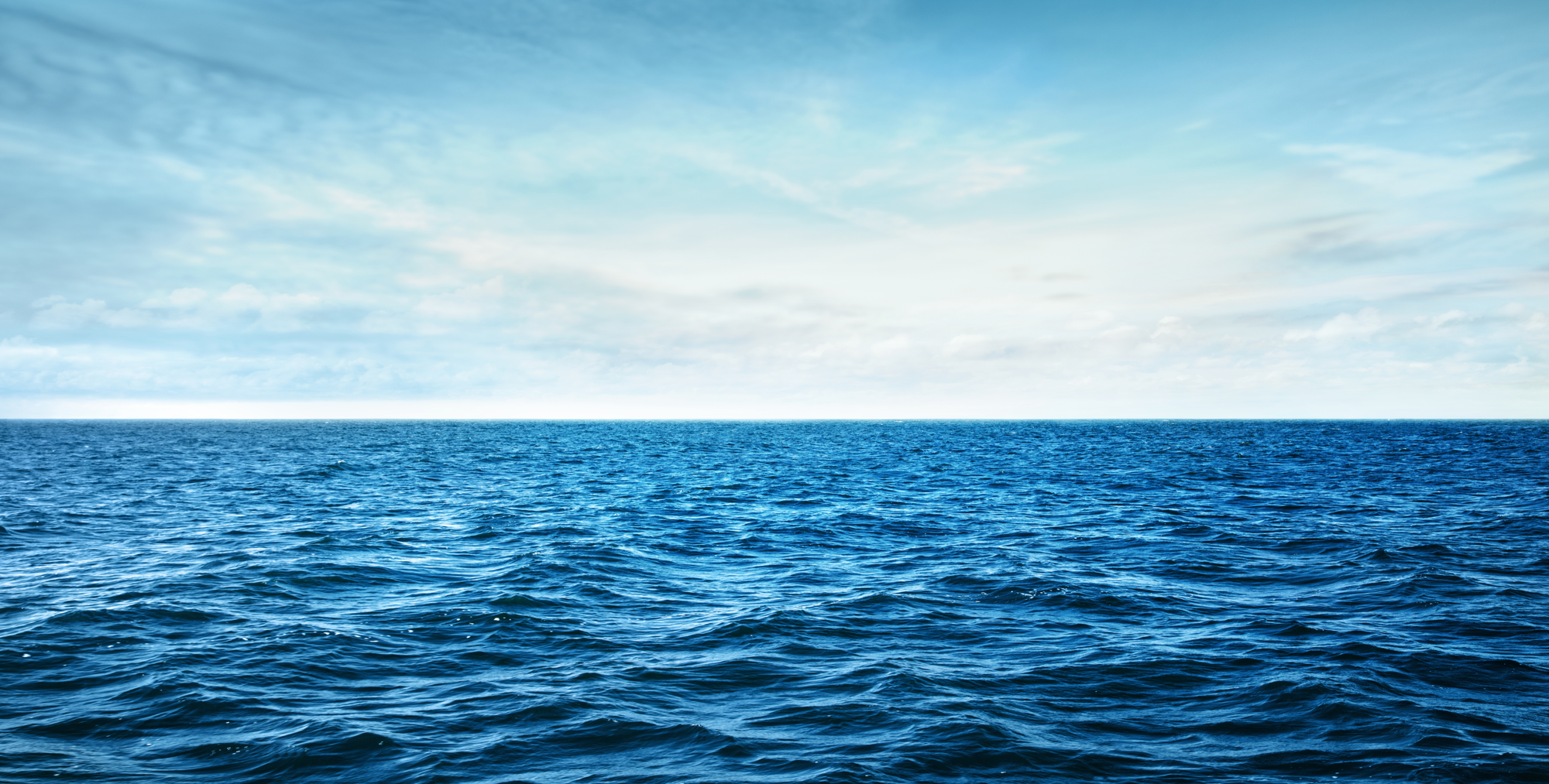 shutterstock_1166741512 (1)