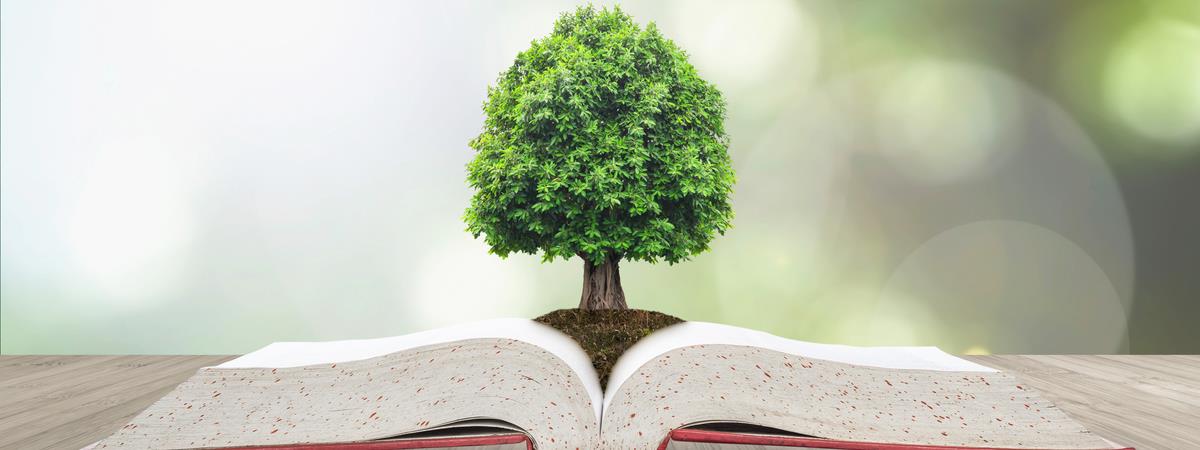 Book and Tree