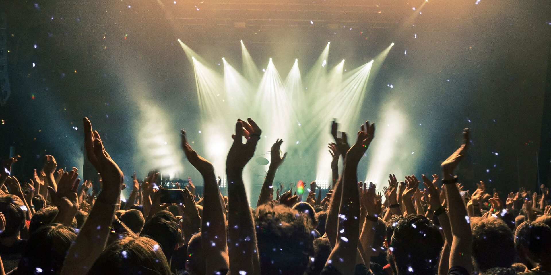 Audience watching a rock concert