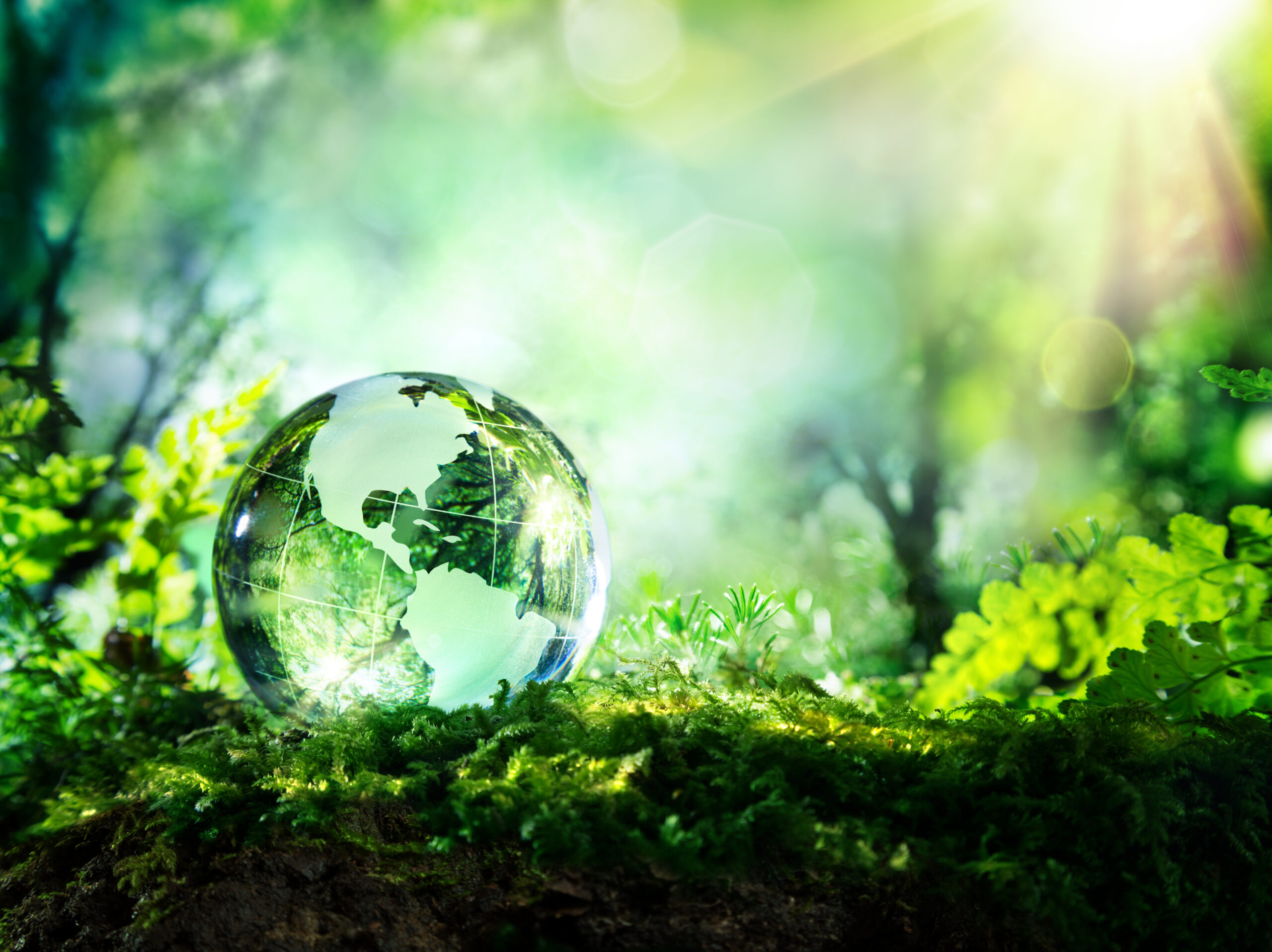 Environment_ crystal-globe-resting-on-mos