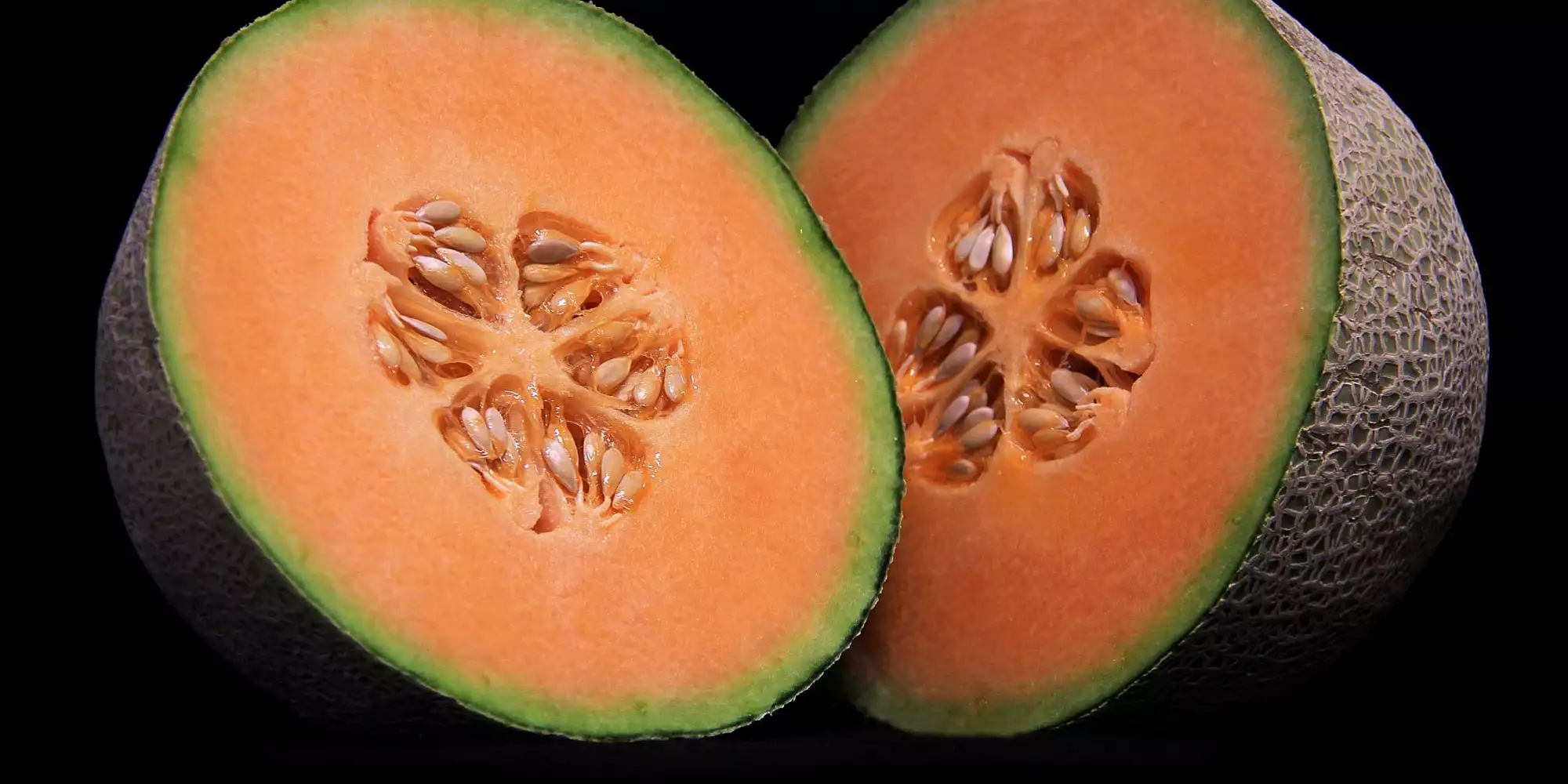 cantaloupe1