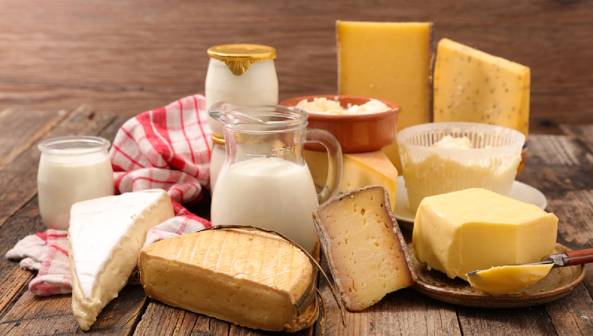 dairy products