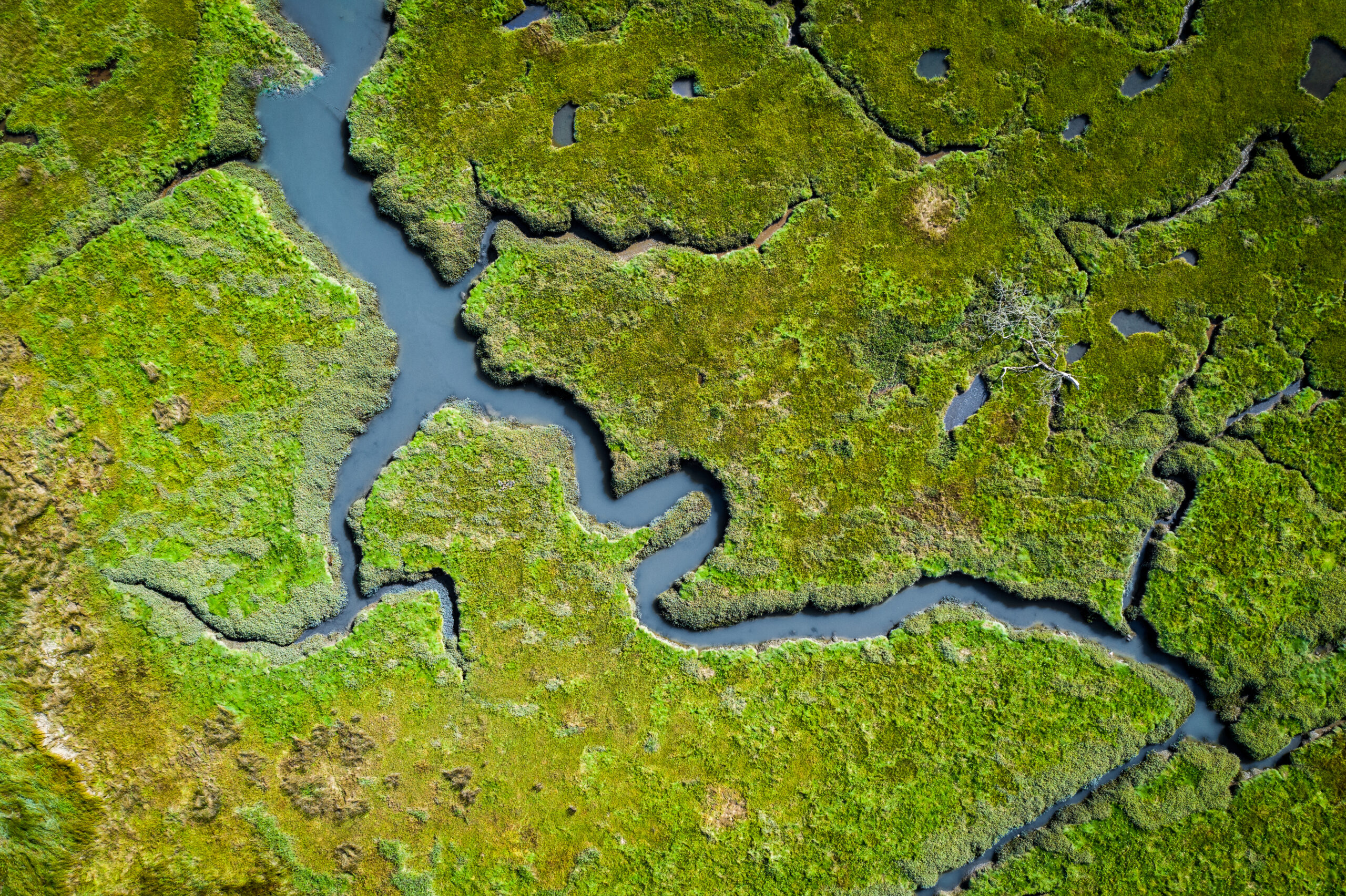 Aerial,View,Of,Lush,Coastal,Wetlands,In,Uk