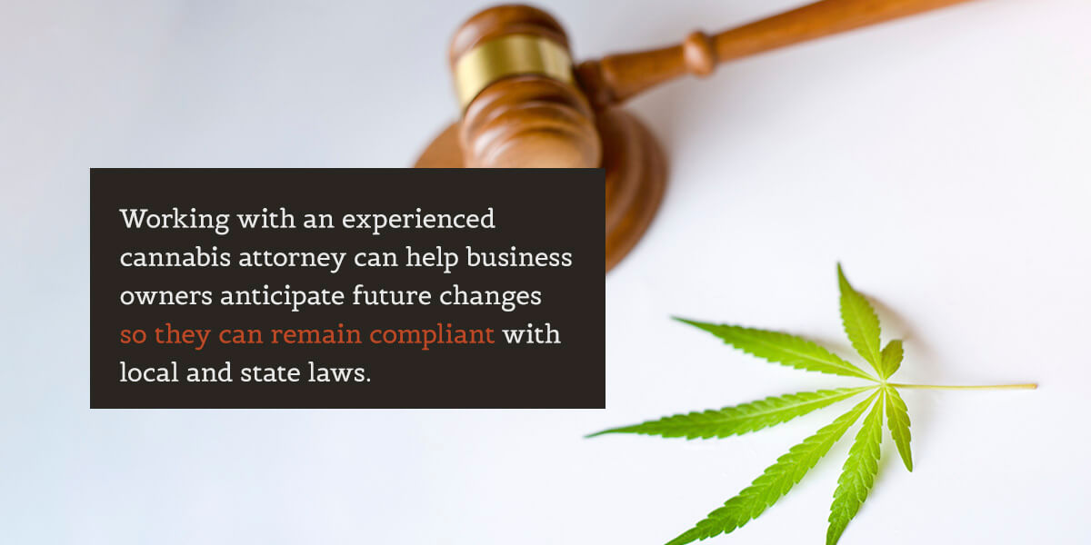 A gavel and cannabis leaf symbolizing legal considerations in the cannabis industry.