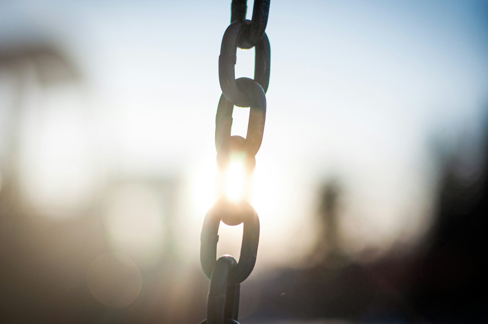 1713925441-2757-8003-lxb_photo6y5iySR_UXclxb_photo-