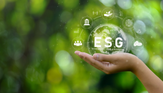 SEBI&rsquo;s ESG Disclosure Mandates: Unveiling the Value Chain