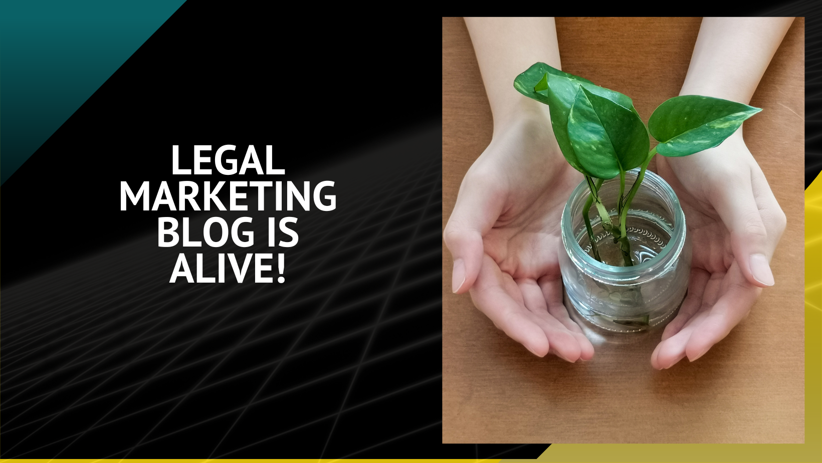Legal Marketing Blog
