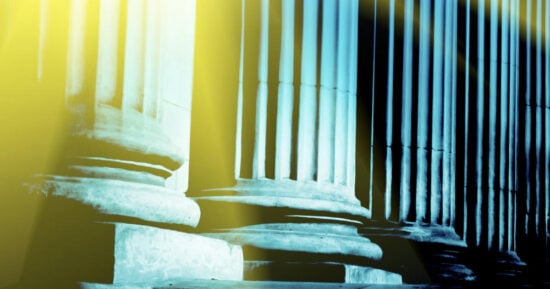 appellate-feature