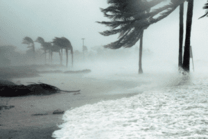 https-www-jimersonfirm-com-wp-content-uploads-2024-05-blog_ahf-mas_insurance-alternatives_original-image-300x200-png