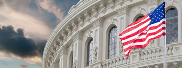 Capitol American Flag