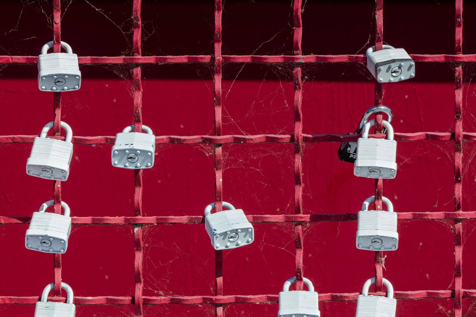 1721674852-2934740-7018-lxb_photobBavss4ZQcAlxb_photo-