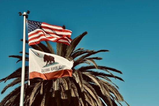 California flag with palm tree