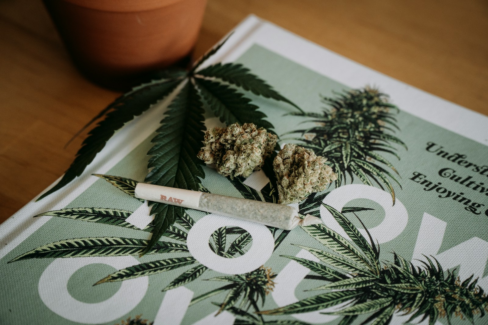 Cannabis Joint

Tag: Shelby Ireland or @canna.beee if you decide to use!