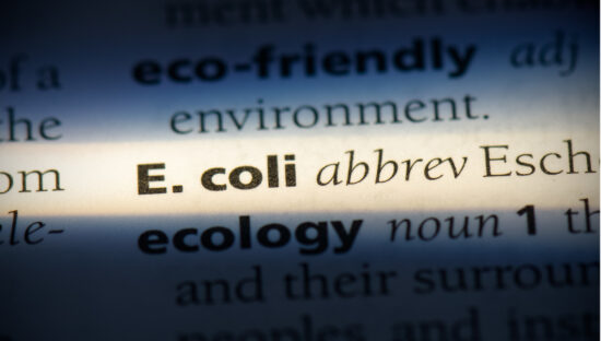E. coli