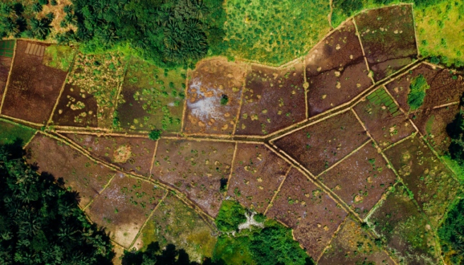 Upholding the validity of The Gujarat Land Grabbing Prohibition Act 2020 Upholding the validity of The Gujarat Land Grabbing Prohibition Act 2020