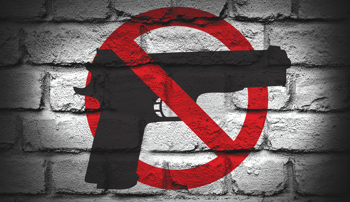2024-08-No-Gun-Icon