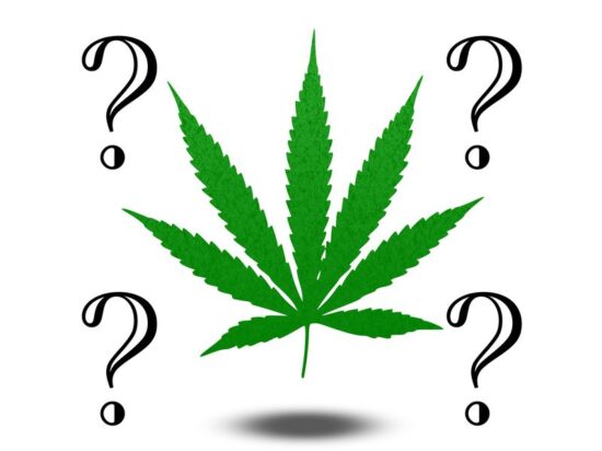 21639512 - marijuana questions