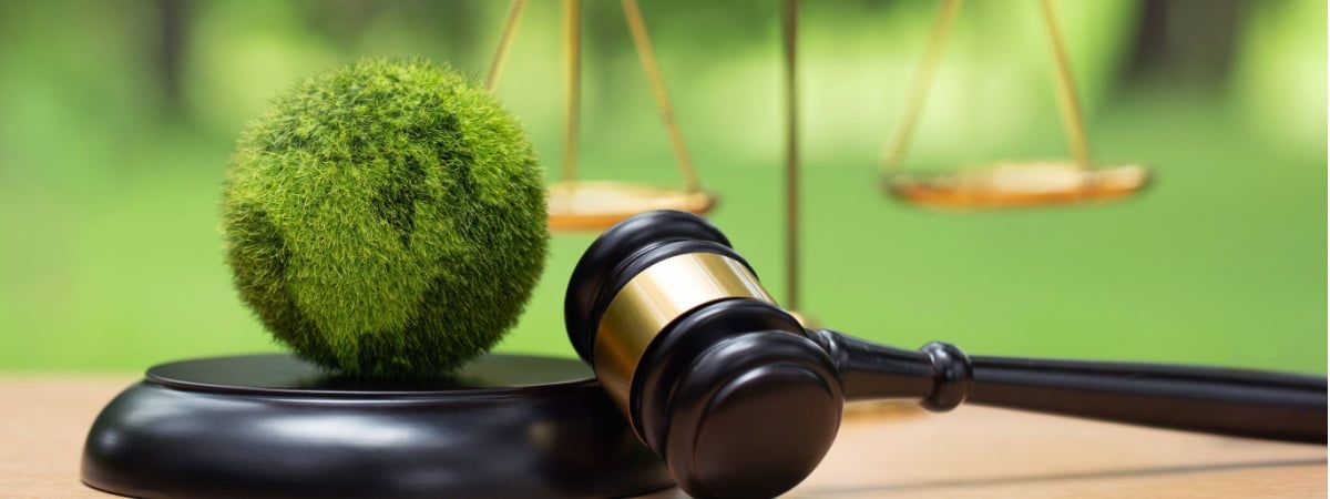 Environment Law. Green World and gavel