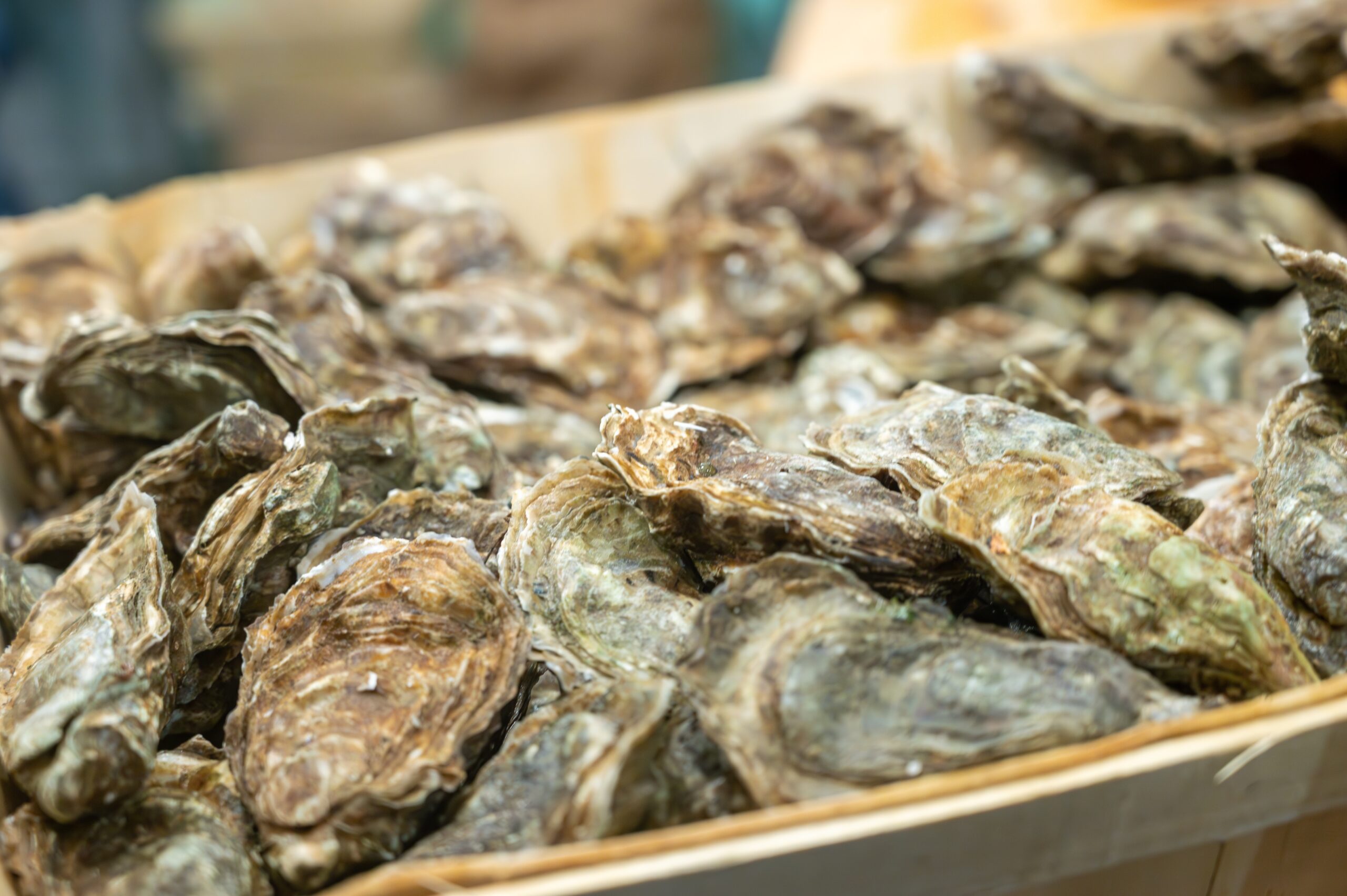 Catch,Of,The,Day,For,Sale,On,Daily,Fish,Market,