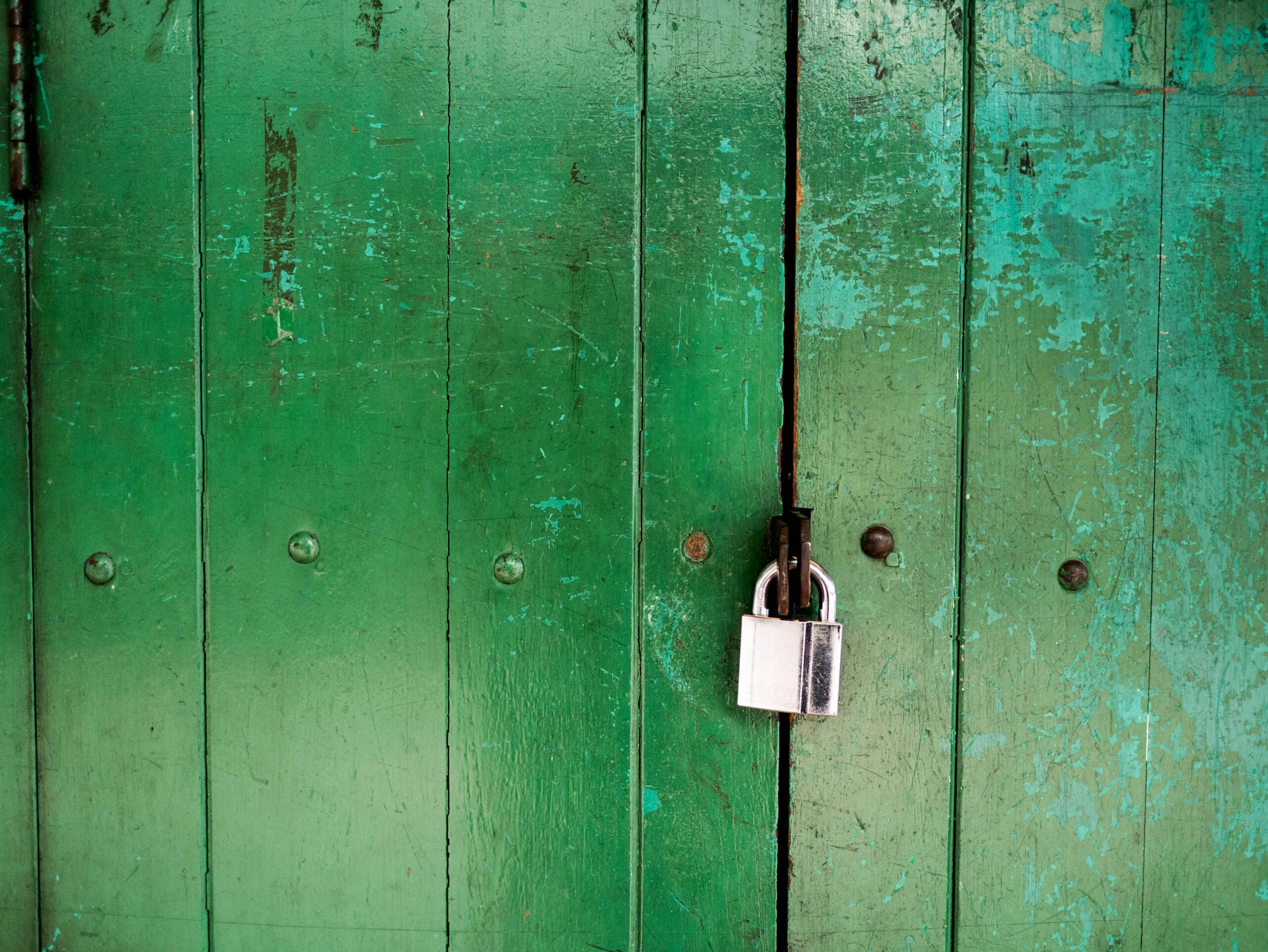 rob-king-Au6eR7Yg9CY-unsplash (1)