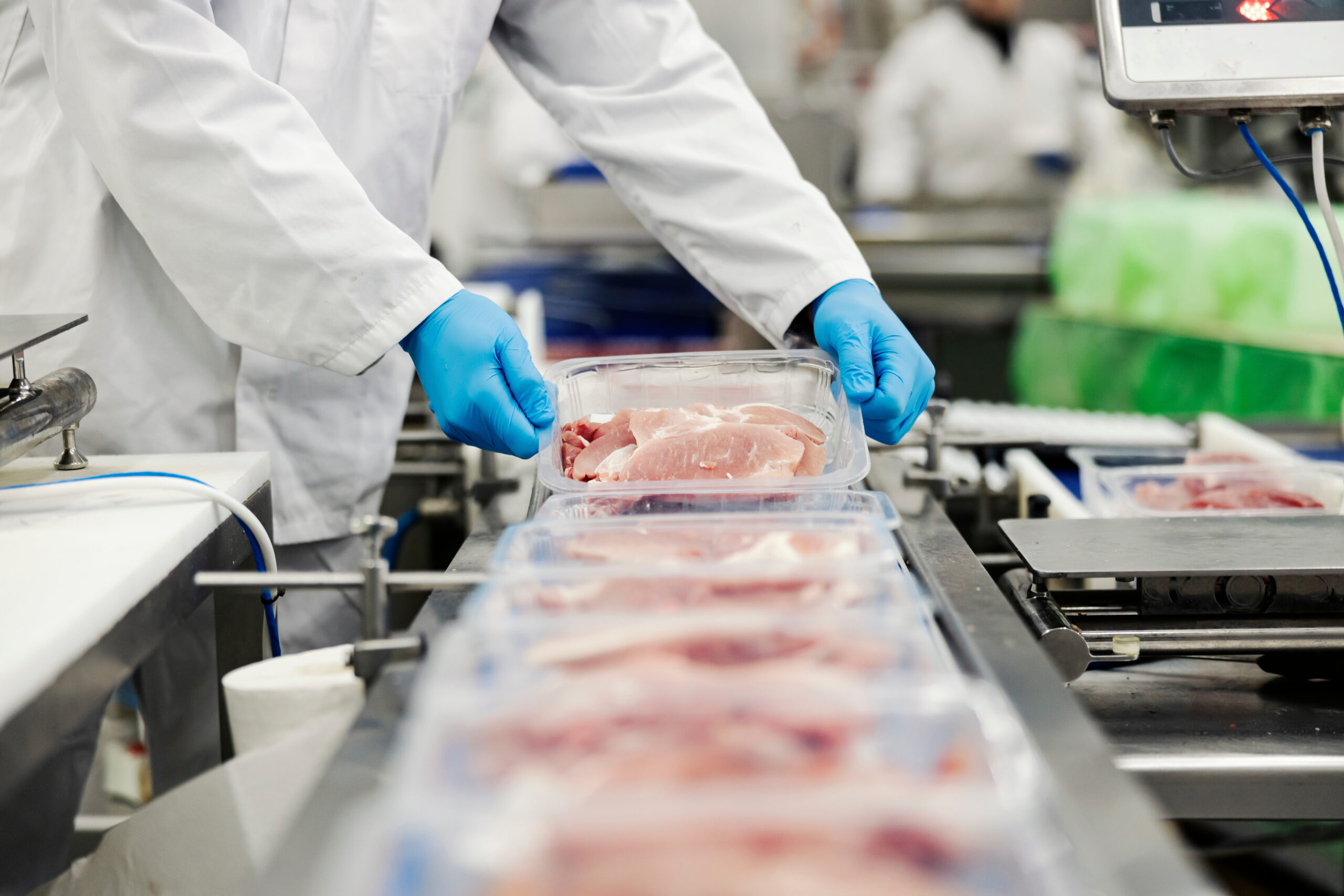 Hands of a meat factory worker gathering packed meat on a convey