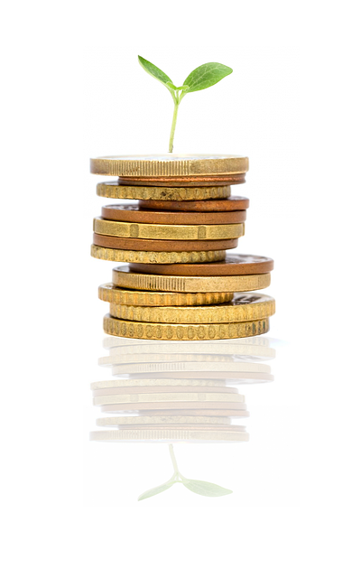Investment into Startup