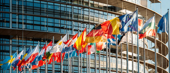 resized European_Parliament_Building_S_0558 copy