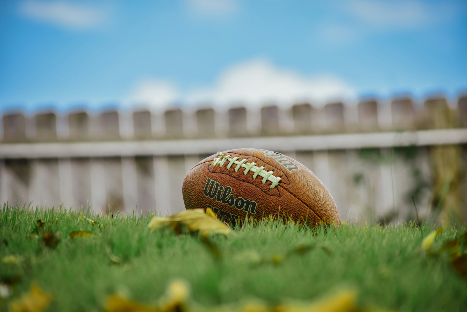 Football in a backyard