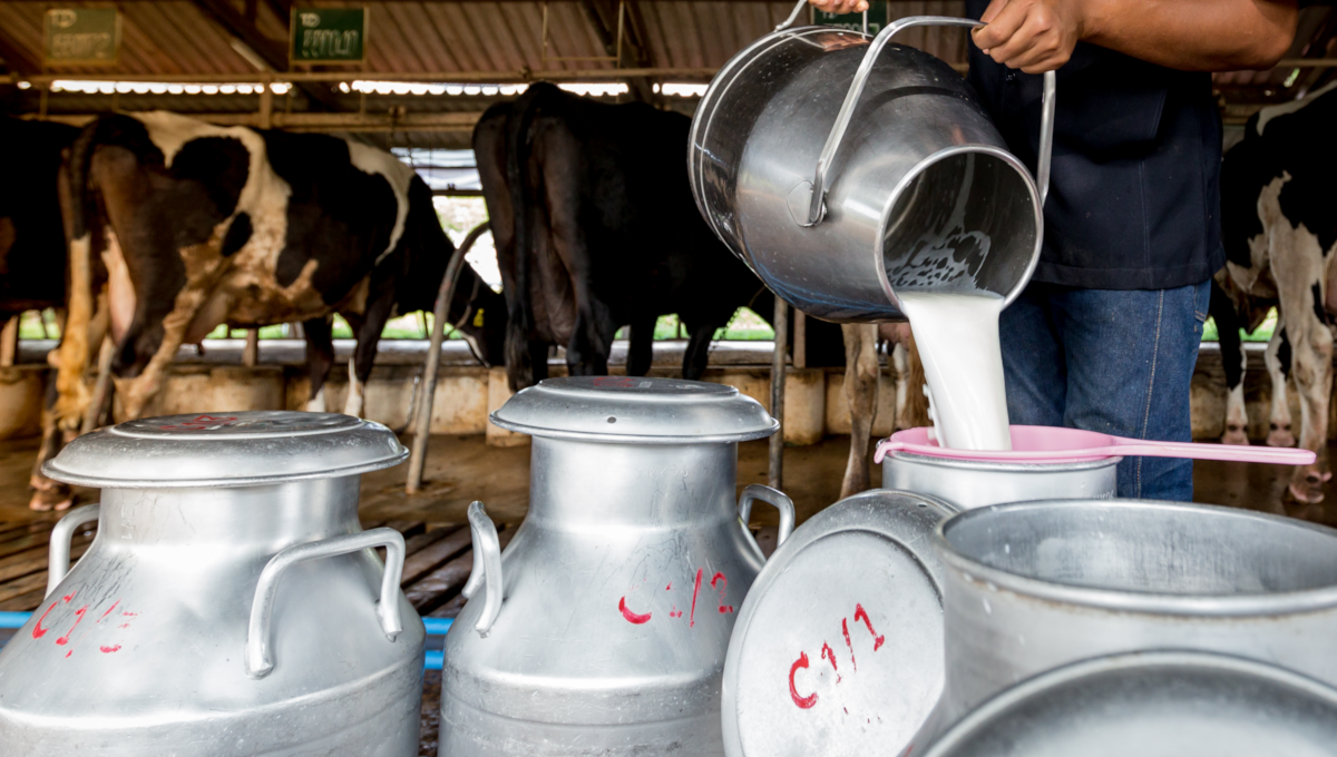 Raw milk