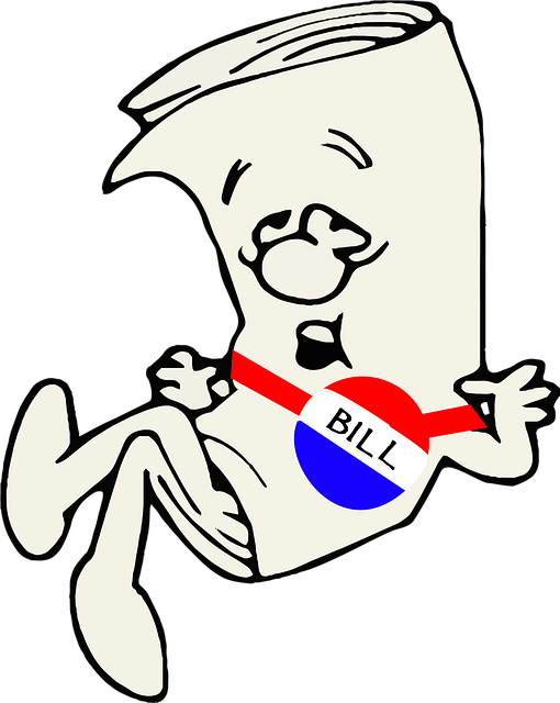 Congress and Immigration