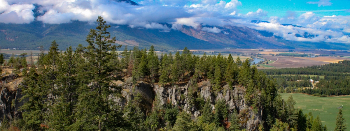 Montana