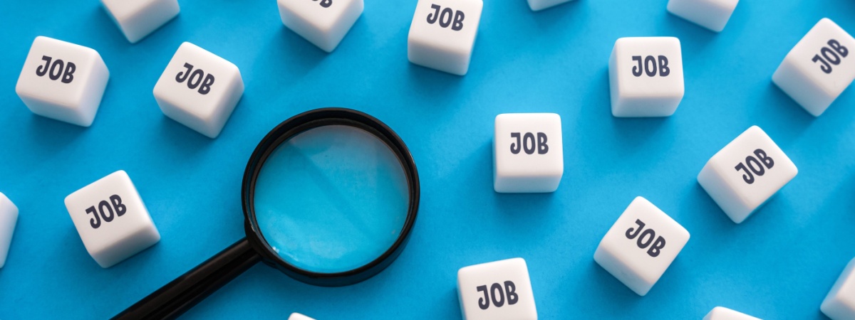 job search