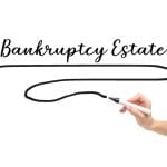 https-www-mississippiconsumerhelp-com-files-2025-01-bankruptcy-estate-150x150-jpg