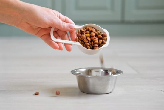 Pet,Food,Pouring.,Balanced,Dog,Food.,Owner,Female,Hand,Is