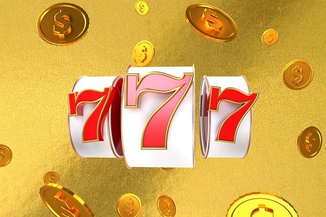 fortune, tarot, pet, bingo, lottery, golden, dog, animal, coins, money, lottery, lottery, lottery, lottery, lottery