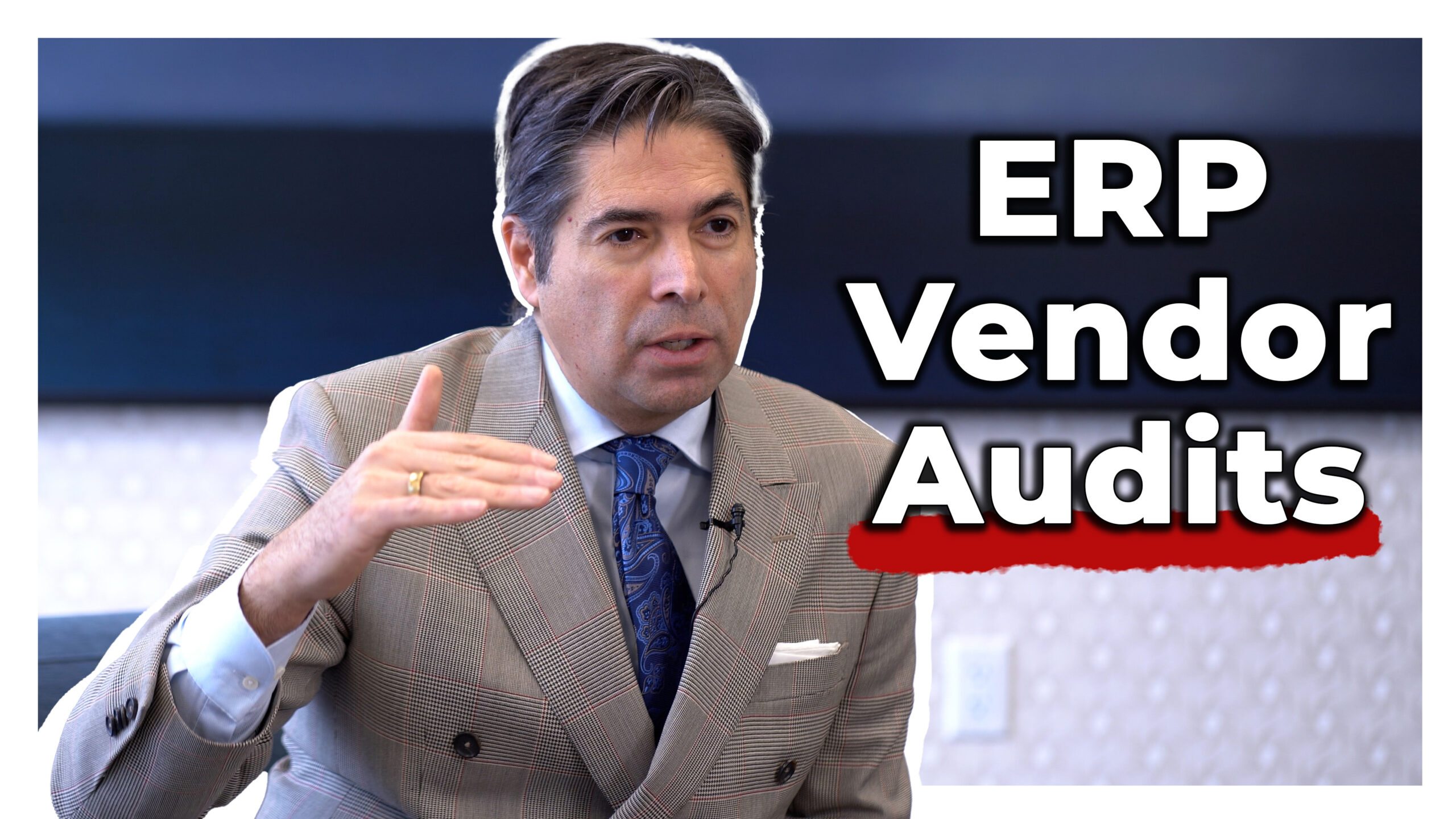 ERP Vendor Audits