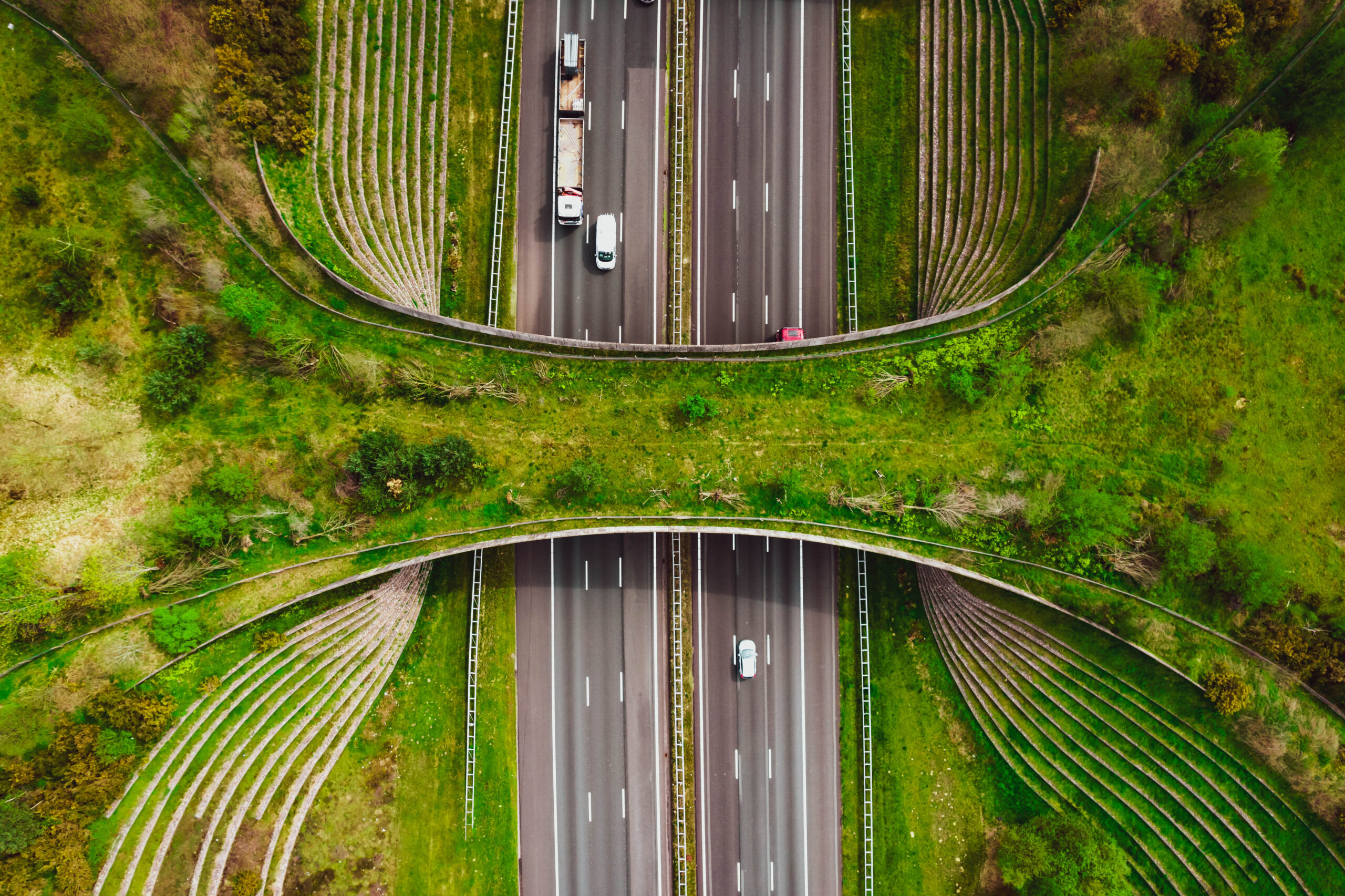 GettyImages-1488179335_50034
