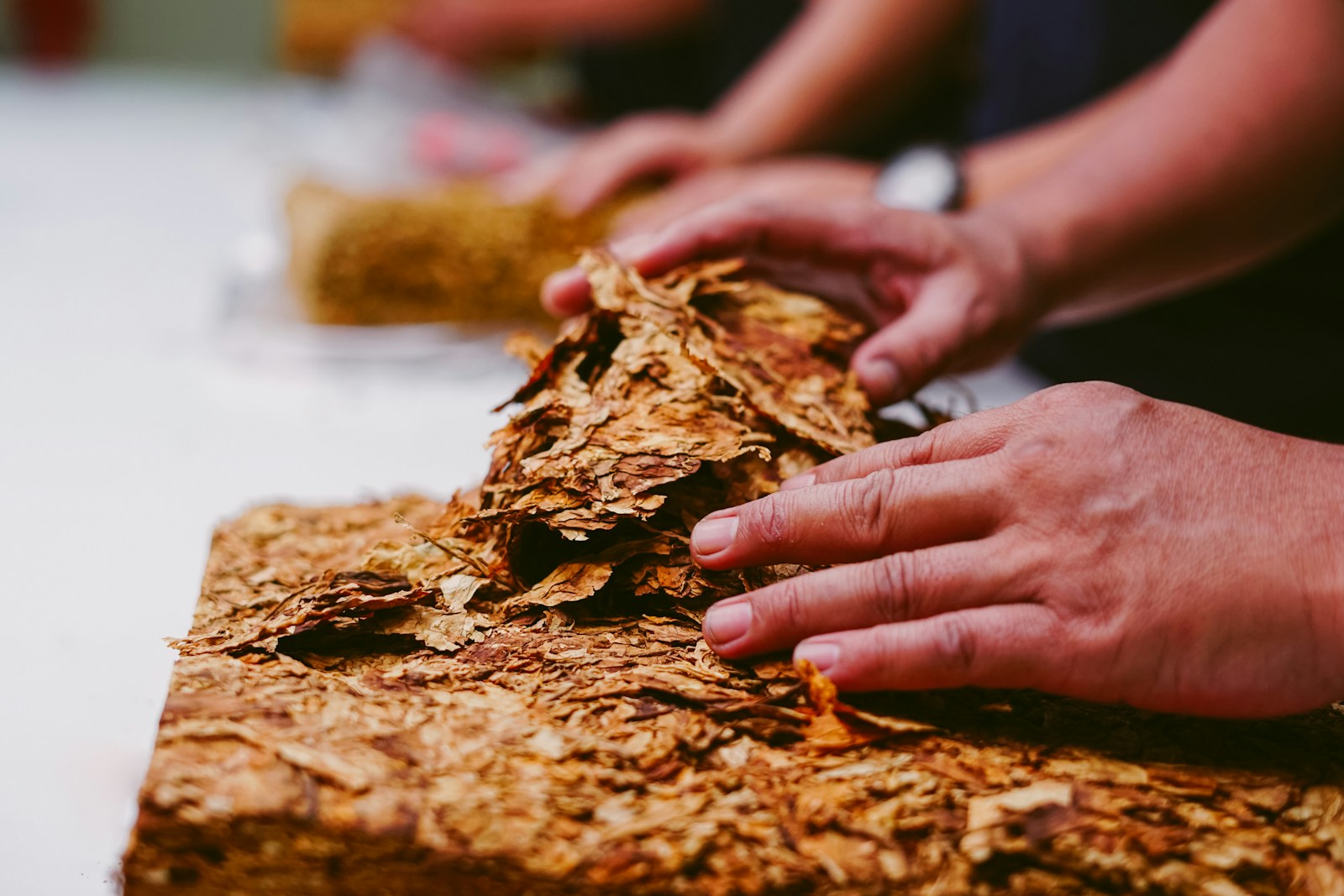 agriculture, old, wood, farm, pipe, habit, tobacco leaf, sliced, chewing tobacco, structure, texture, harvest, macro, herb, farming, plantation, nature, nicotine, cigarette, tobacco, unhealthy, cigar, organic, industry, tree, white, plant, addictive, wooden, background, closeup, enjoyment, leaf, brown, dry, smoke, addiction, product, close, narcotic, board, wall, illustration, healthy, material, cuban