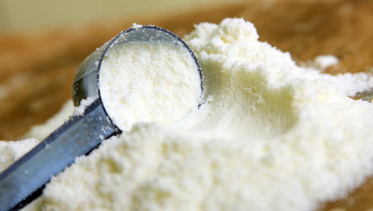 Infant formula