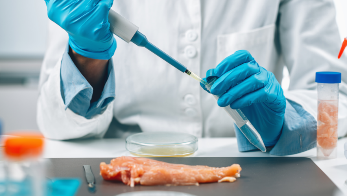 Salmonella testing
