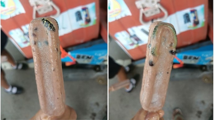 A man found a snake frozen inside his ice-cream in Thailand. (Photos: Rayban Naklengboon/Facebook) A man found a snake frozen inside his ice-cream in Thailand.