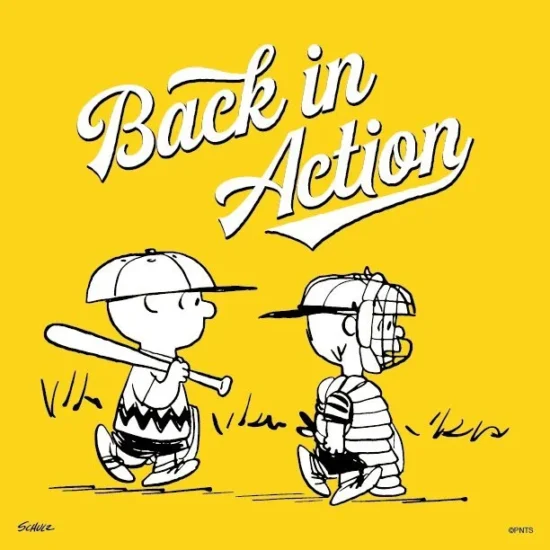 https-images-squarespace-cdn-com-content-v1-53f0be8de4b097fb5ad9c7f8-f9fe4054-ce08-4e19-964d-1d7a9eaafc5d-peanutsbaseball-jpgformat1000w