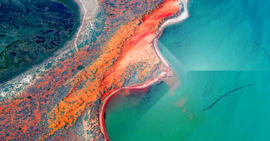 https-www-allens-com-au-globalassets-images-homepage-home-page-logo-li-seo-tile-24_2-jpg