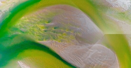 https-www-allens-com-au-contentassets-734c438309404beeb5faa0d748bb9f51-li_image_0088_tidal-delta-green-bright-jpg