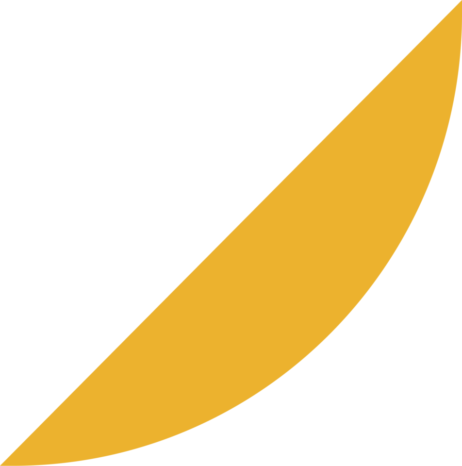 How to Practice Law in Multiple States 3 yellow decoration