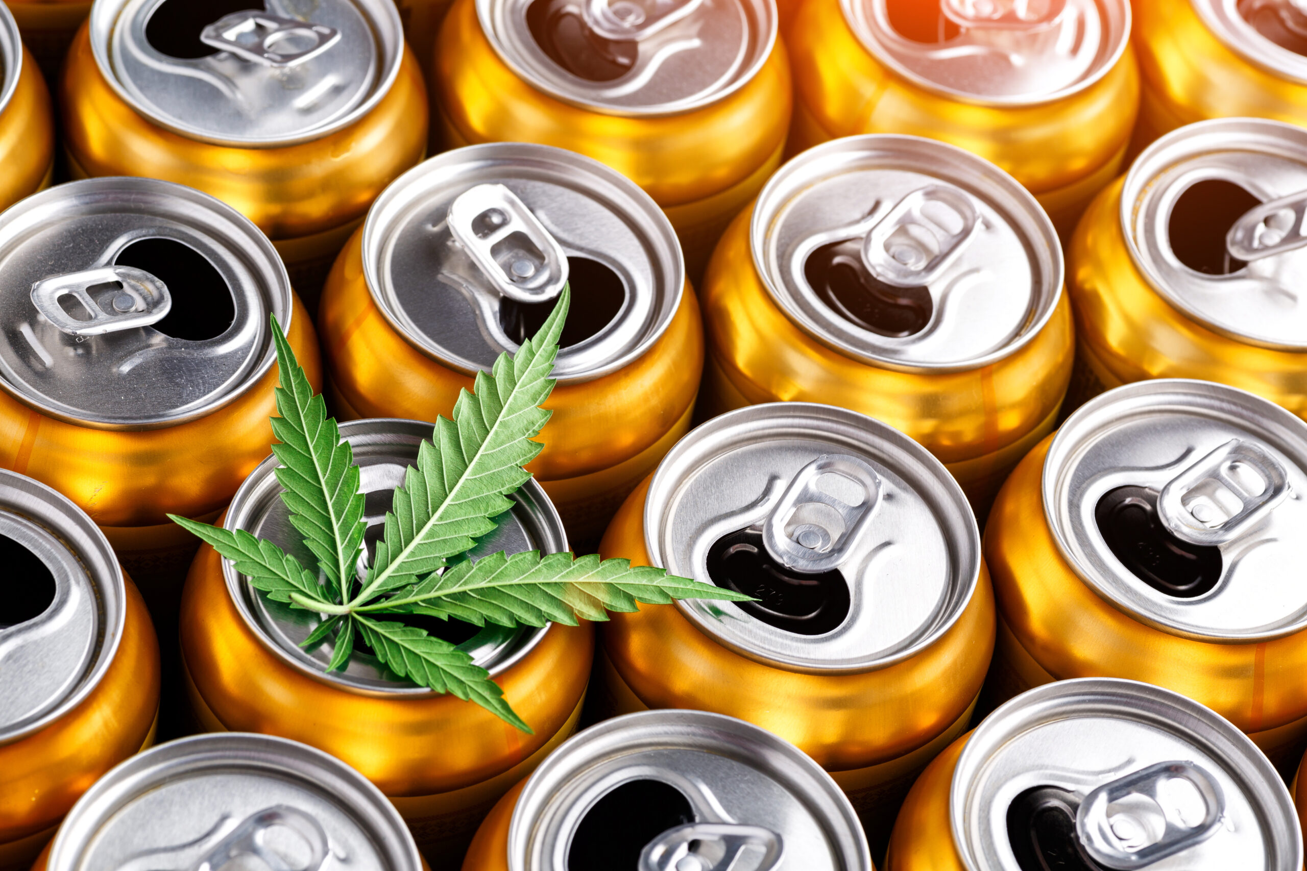 drinks with addition of hemp (cannabis)