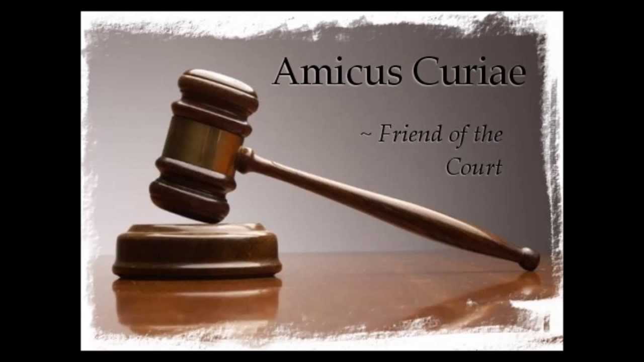 amicus